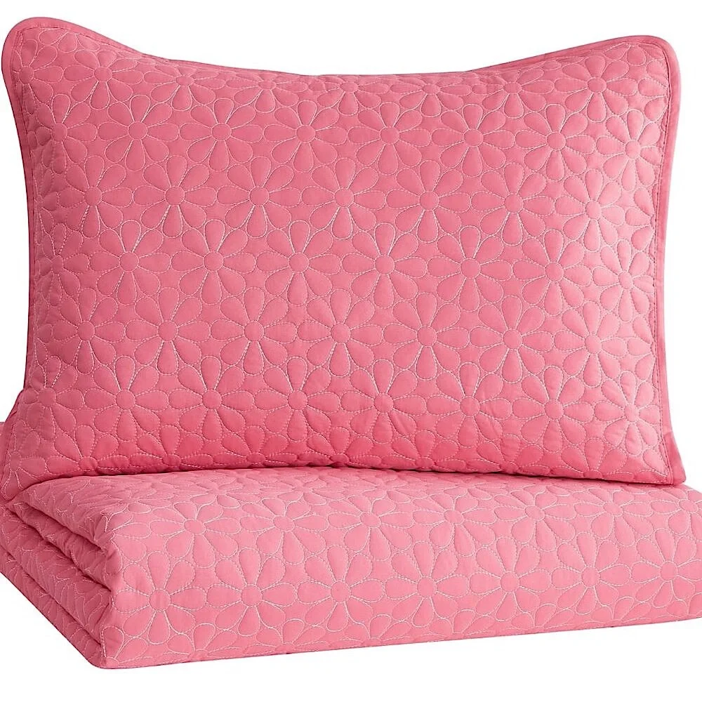 Reversible Embroidered Daisy Design 2 Piece Twin Quilt Set Pink & White NEW